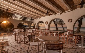 Domes Aulus Zante, Autograph Collection