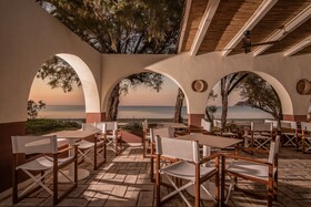 Domes Aulus Zante, Autograph Collection