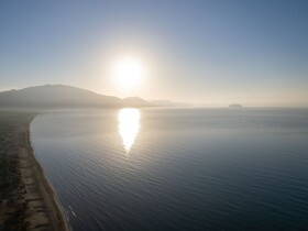 Domes Aulus Zante, Autograph Collection