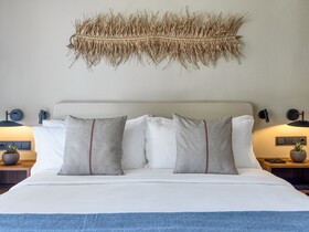 Domes Aulus Zante, Autograph Collection