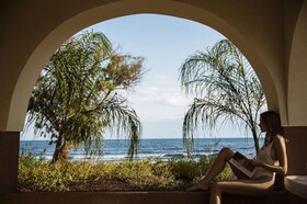 Domes Aulus Zante, Autograph Collection