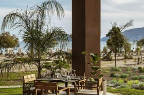 Domes Aulus Zante, Autograph Collection