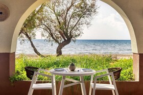 Domes Aulus Zante, Autograph Collection