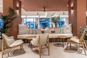 Domes Aulus Zante, Autograph Collection