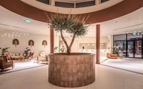 Domes Aulus Zante, Autograph Collection