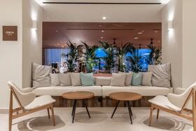 Domes Aulus Zante, Autograph Collection