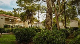 Domes Aulus Zante, Autograph Collection