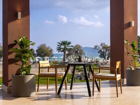 Domes Aulus Zante, Autograph Collection