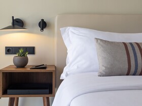 Domes Aulus Zante, Autograph Collection