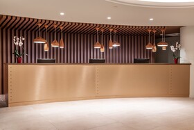 Domes Aulus Zante, Autograph Collection