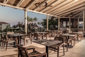 Domes Aulus Zante, Autograph Collection