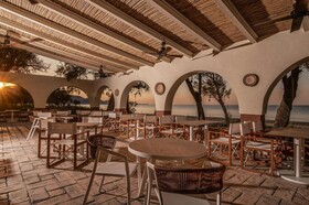 Domes Aulus Zante, Autograph Collection