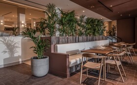 Domes Aulus Zante, Autograph Collection