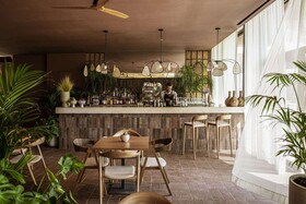 Domes Aulus Zante, Autograph Collection