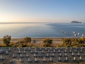 Domes Aulus Zante, Autograph Collection