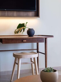 Domes Aulus Zante, Autograph Collection