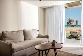 Domes Aulus Zante, Autograph Collection