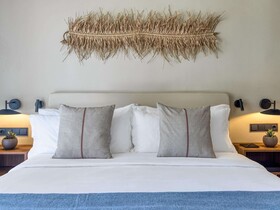 Domes Aulus Zante, Autograph Collection