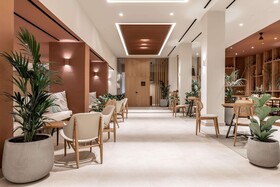 Domes Aulus Zante, Autograph Collection