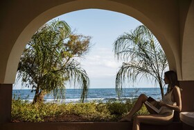 Domes Aulus Zante, Autograph Collection