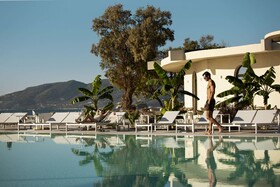 Domes Aulus Zante, Autograph Collection