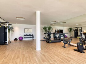 Domes Aulus Zante, Autograph Collection