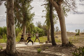 Domes Aulus Zante, Autograph Collection