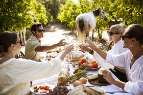 Domes Aulus Zante, Autograph Collection