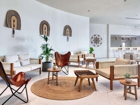 Domes Aulus Zante, Autograph Collection