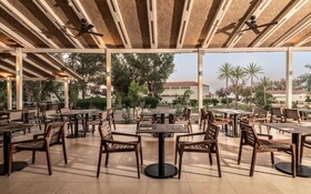 Domes Aulus Zante, Autograph Collection