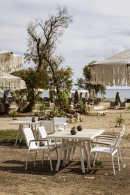 Domes Aulus Zante, Autograph Collection