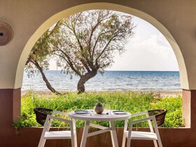 Domes Aulus Zante, Autograph Collection