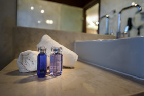 Elegance Luxury Executive Suites