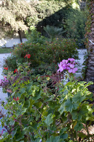 Anetis Beach Hotel