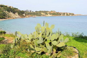 THIRES Guesthouse
