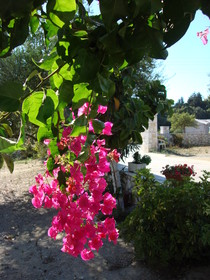 Villa Kapnisi