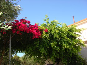 Villa Kapnisi