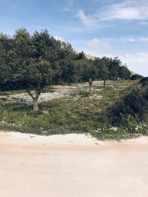 Agallio Nature Resort