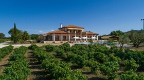 Aneli Luxury Villas - Villa Anastasia