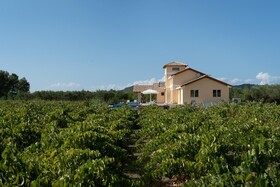 Aneli Luxury Villas - Villa Semeli