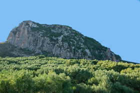 Artemis Oasis Villa
