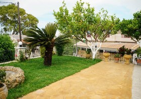 Costas studios