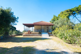House In The Forest
