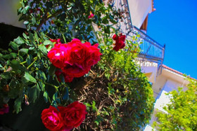 Medousa Apartments