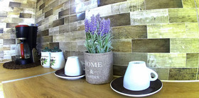 Pretty Spiti Holiday Home