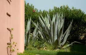 Zefyros Eco Resort