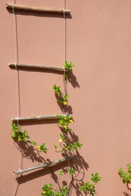 Zefyros Eco Resort