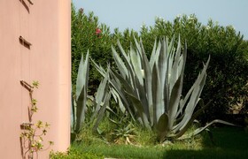 Zefyros Eco Resort