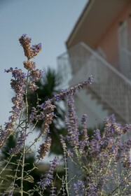 Zefyros Eco Resort