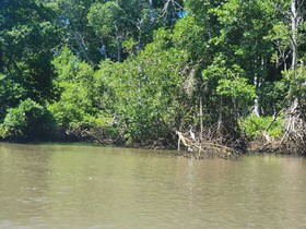 Hidden Paradise Beach Jiote